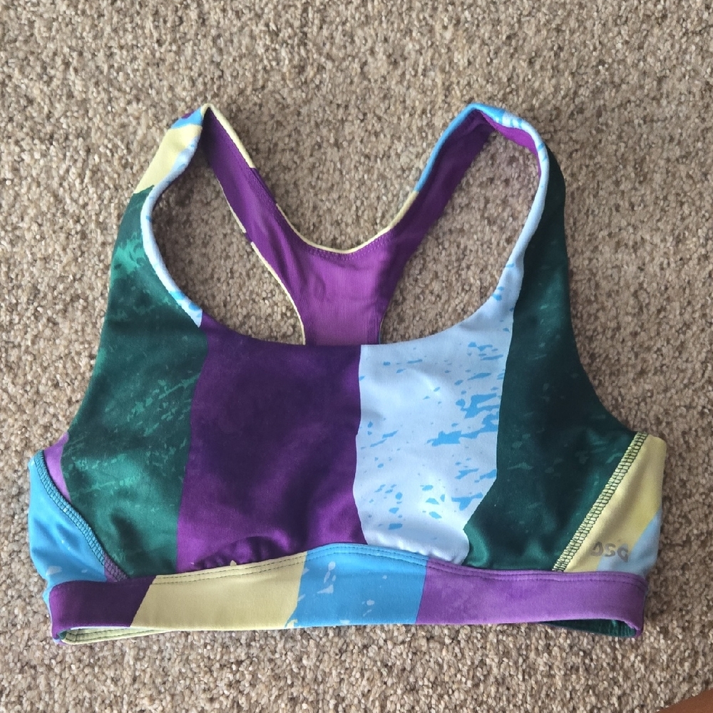 DSG Multicolor Striped Sports Bra